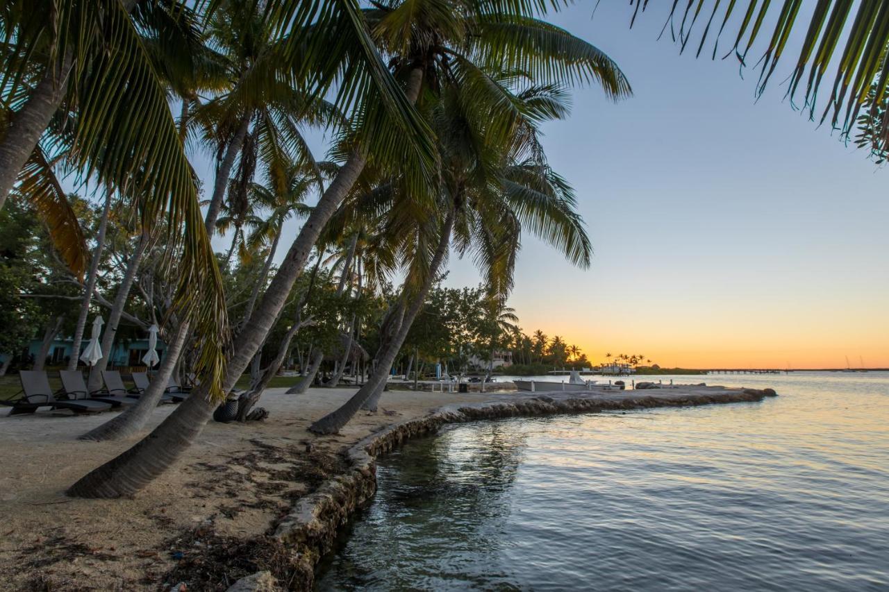 La Jolla Resort Islamorada Εξωτερικό φωτογραφία